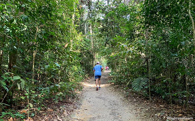 MacRitchie Nature Trail