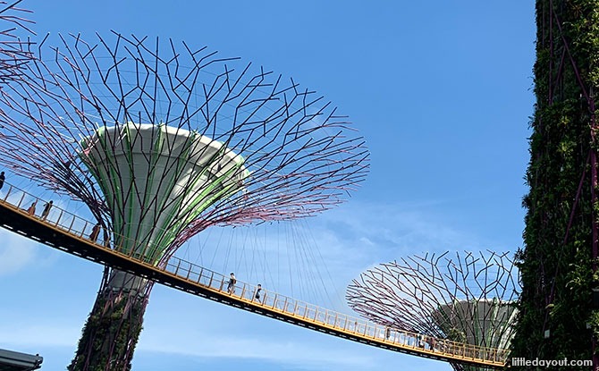 OCBC Skywalk - Suspension Bridge