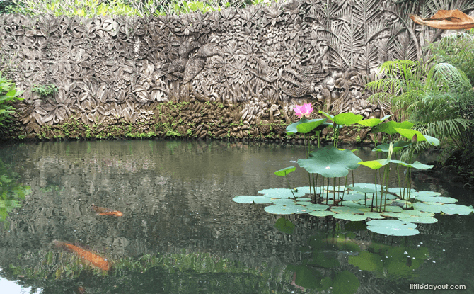 Pond 