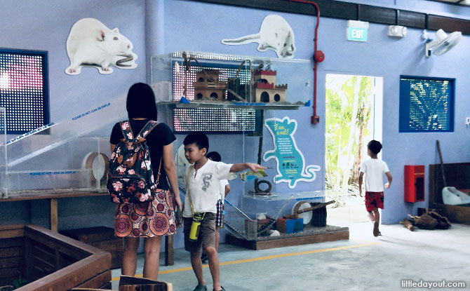 Interactive Animal Exhibits