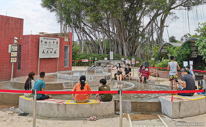 Rustic Greenery at Sembawang Hot Spring Park