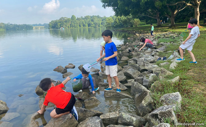 Good Luck catching Yabbies!