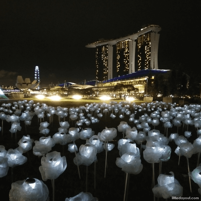 MoonFlower By Lee Yun Qin (Singapore)