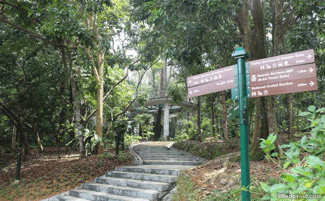 Getting to SPH Walk of Giants and Canopy Web from Swan Lake