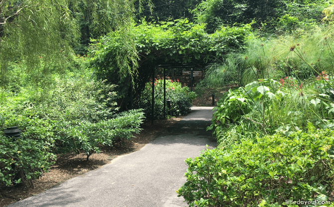 From the Botany Centre, cross this bridge at the edge of Swan Lake to get to the Canopy Web.