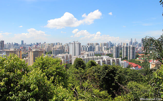 Singapore Cityscape from Mount Faber Park