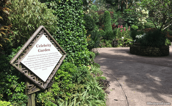 Celebrity Garden