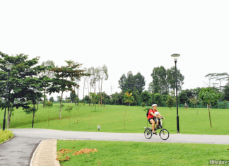 Cycling