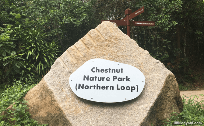 Chestnut Nature Park (Northern Loop)