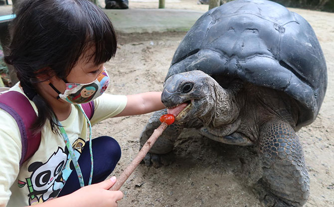 Visiting the Wildlife Reserves Singapore