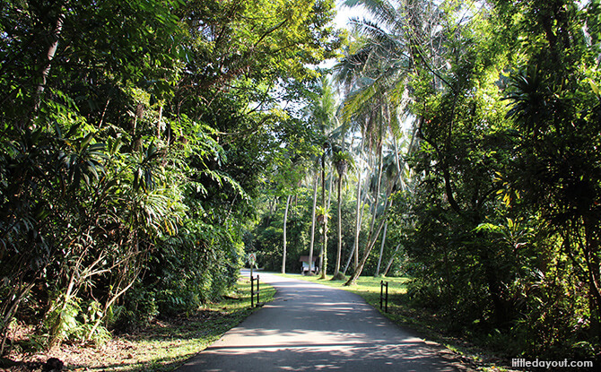 Pulau Ubin Chinese Kampong House: Road to Teck Seng’s Place