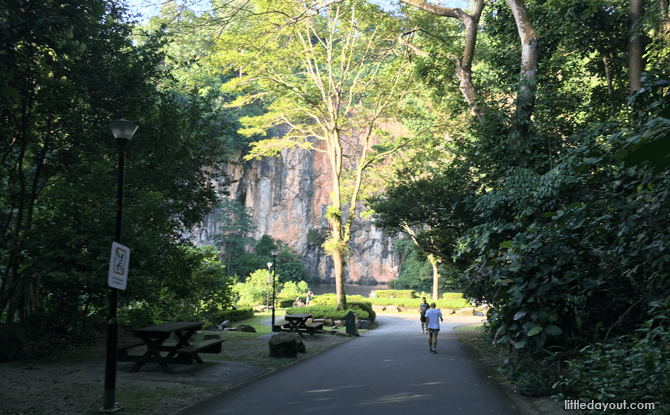 Bukit Batok Nature Park Waterside