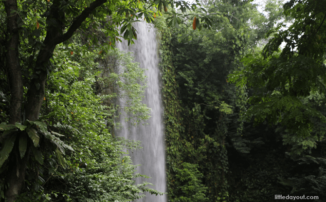 Waterfall Aviary