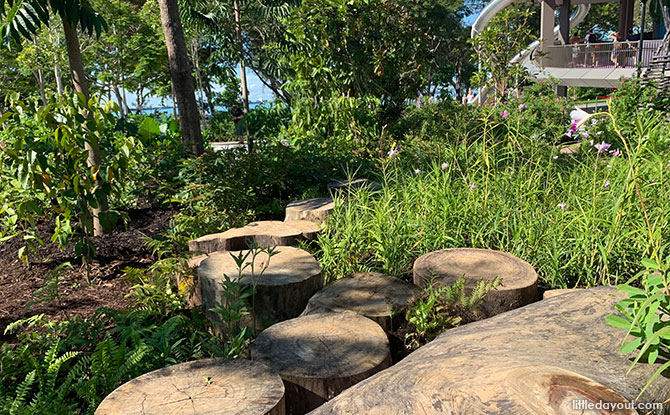 Nature PlayGarden at Coastal PlayGrove