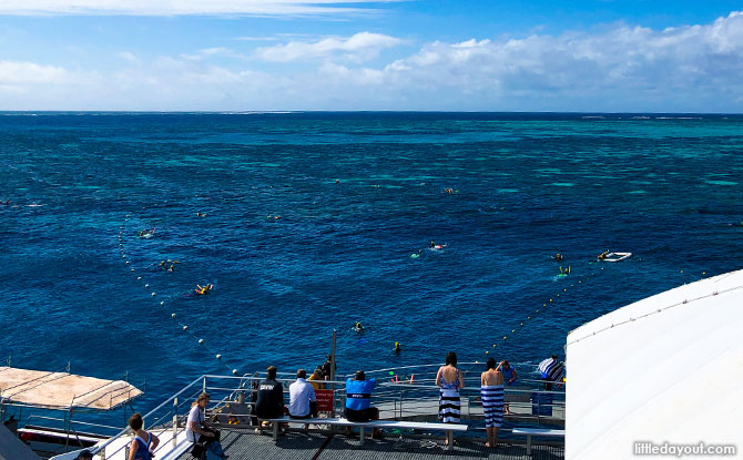 Enjoying the Great Barrier Reef