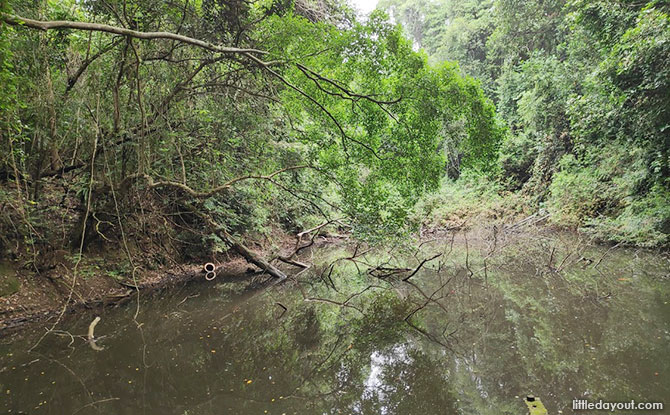 Keppel Hill Reservoir