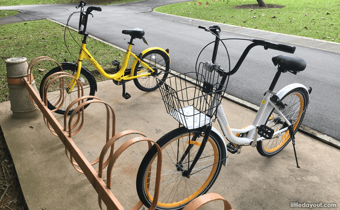 oBike and Ofo Bikes