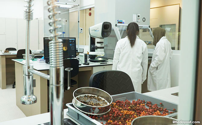 Lab at the Seed Bank