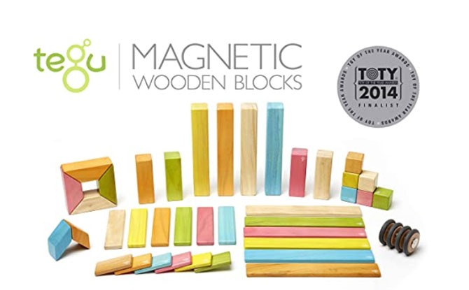 Tegu Magnetic Wooden Blocks