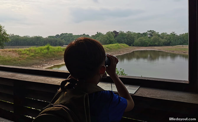 History of World Wetlands Day