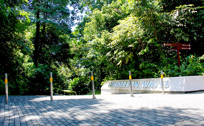 Henderson Waves & Marang Trail