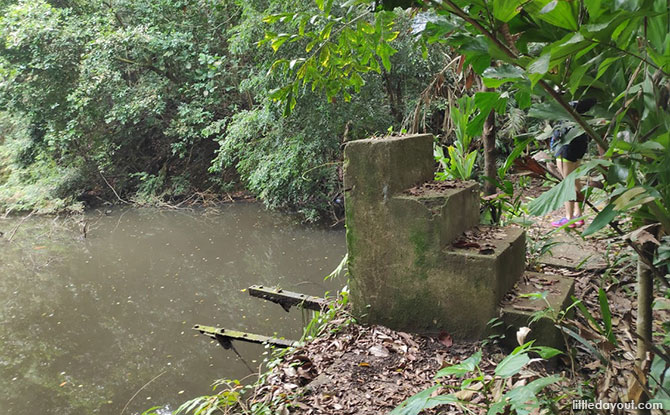 Remains of Keppel Hill Reservoir