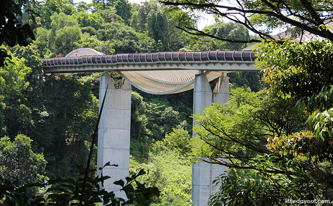 Telok Blangah Hill Park: Henderson Waves & 5 More Reasons To Visit 1 Henderson Waves