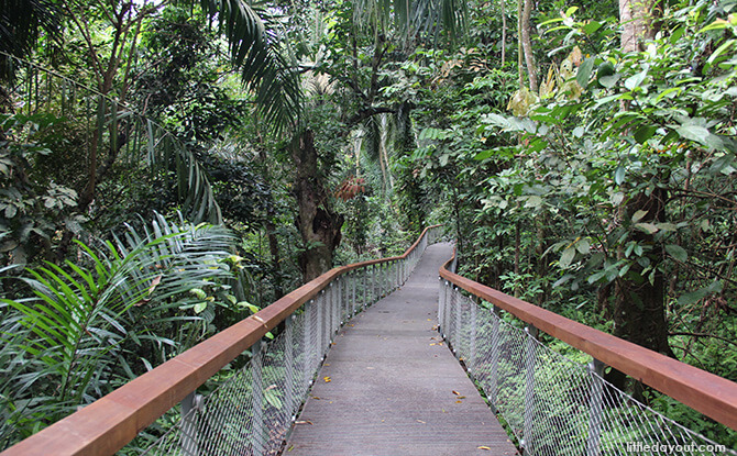 Windsor Nature Park's Drongo Trail