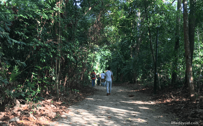 Nature Trail