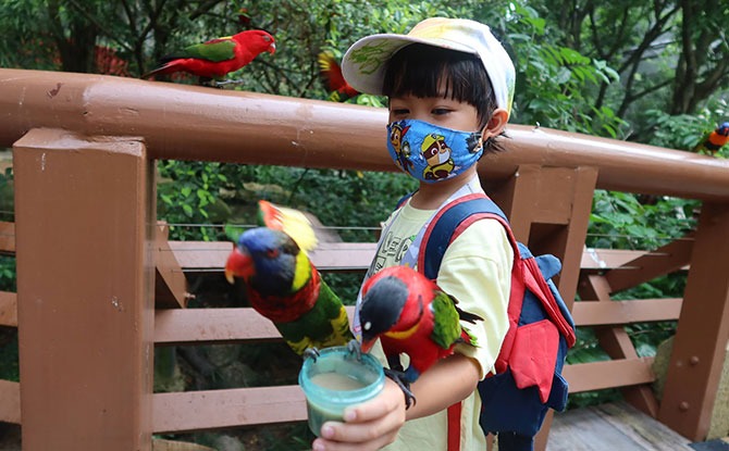 Visiting the Jurong Bird Park