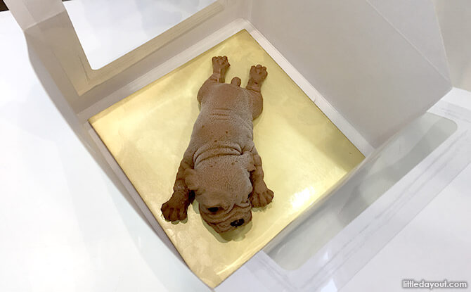 Top View of Shar Pei Puppy Cake