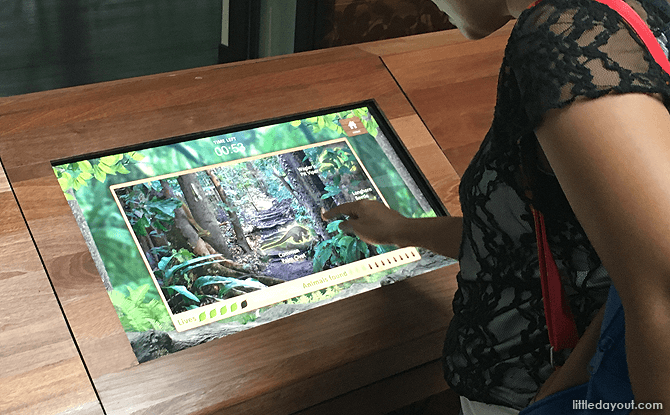 Touch Screens at Bukit Timah Nature Reserve Visitor Centre Gallery