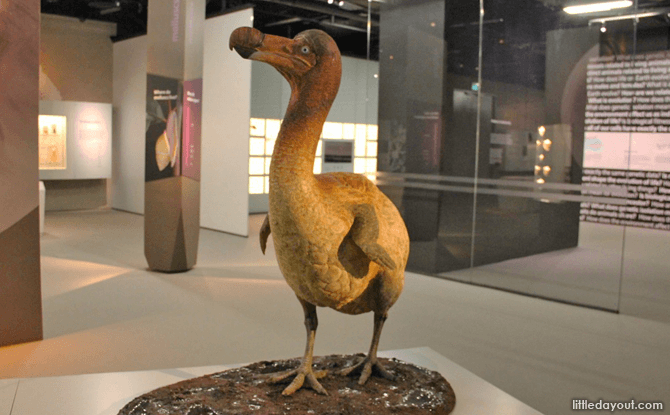Dodo model at Lee Kong Chian Natural History Museum
