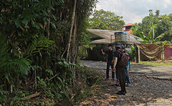 Exploring Lesser-Known Sights on Pulau Ubin