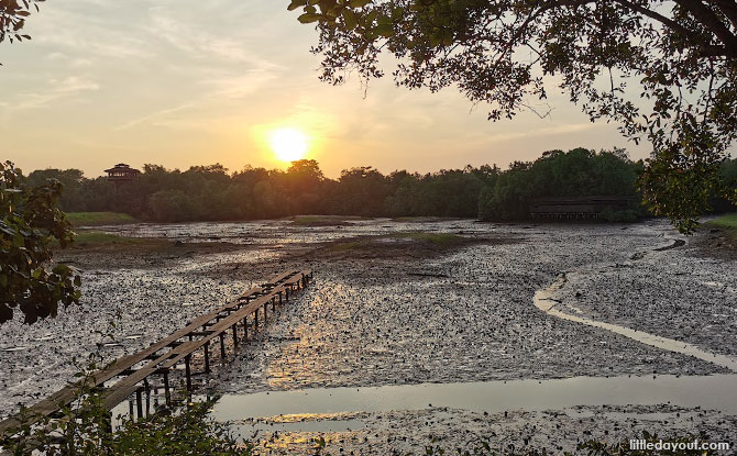 Sungei Buloh Wetlands Sunset