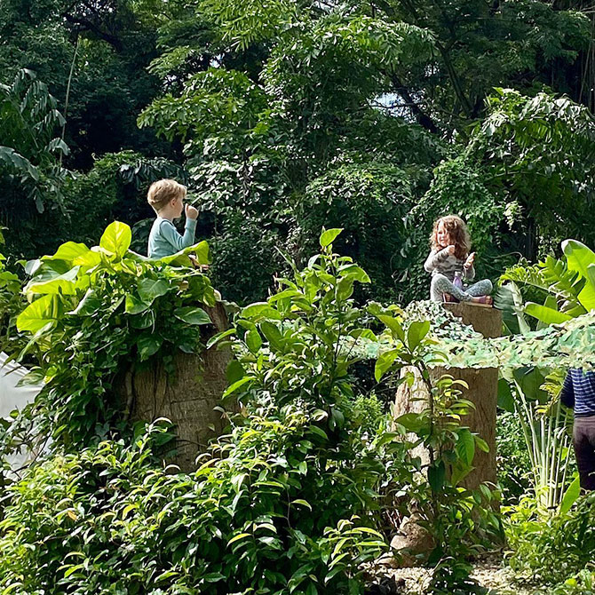 Wildlings - Forest Schools in Singapore