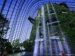 Celebrate SG's Birthday With The Gardens By The Bay & Mediacorp National Day Concert & Virtual Experience