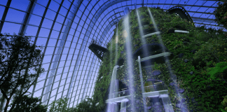 Celebrate SG's Birthday With The Gardens By The Bay & Mediacorp National Day Concert & Virtual Experience