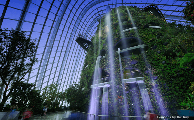 Cloud Forest, Gardens by the Bay