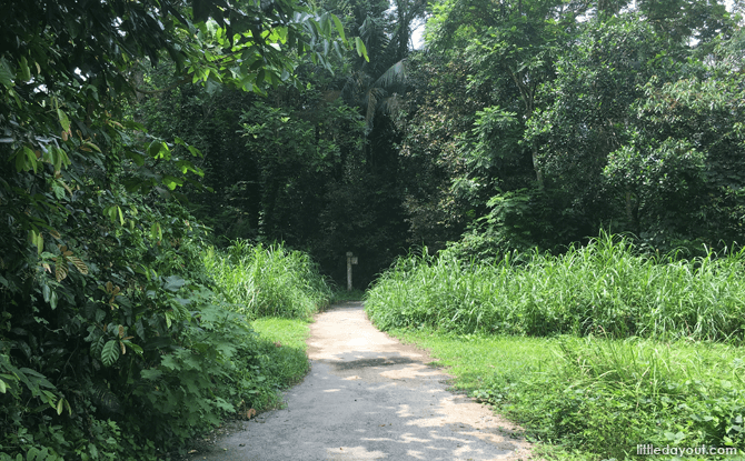 Northern Trail