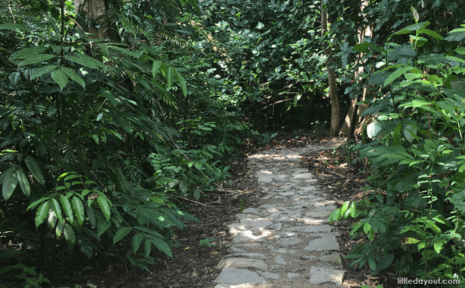 Path along the Northern Trail
