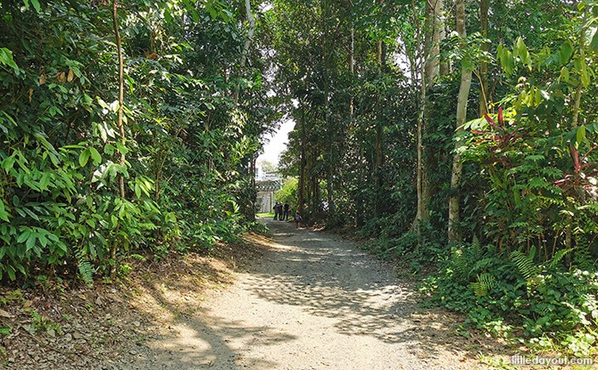 Journey To The East: Little Day Out’s Family Eco-Adventure @ Changi