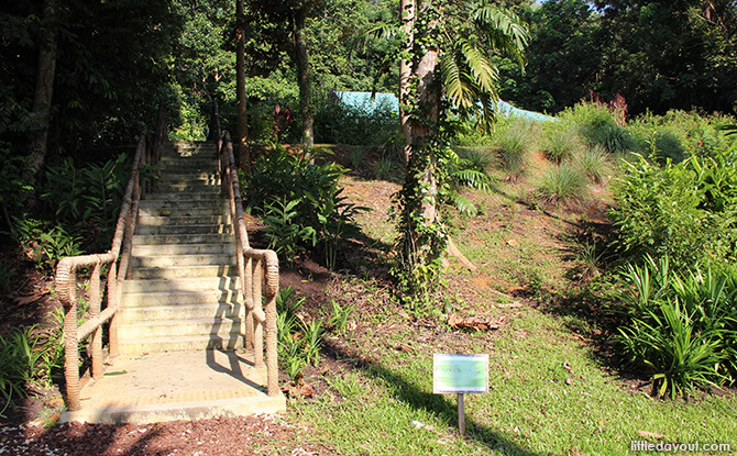 Pulau Ubin Chinese Kampong House: Stairs to Teck Seng’s Place