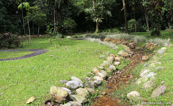 Stream Garden