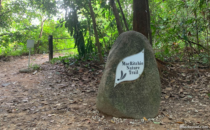 MacRitchie Reservoir Trail