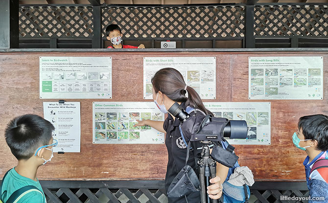 Exploring the Hides