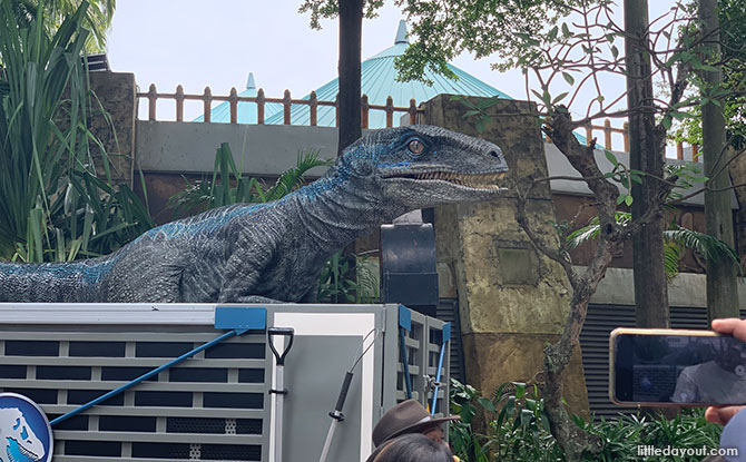 Dinosaurs at Universal Studios Singapore