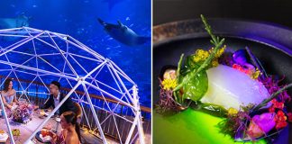 Aqua Gastronomy: Dine In The Company Of 100,000 Aquatic Creatures At S.E.A. Aquarium’s Open Ocean Habitat