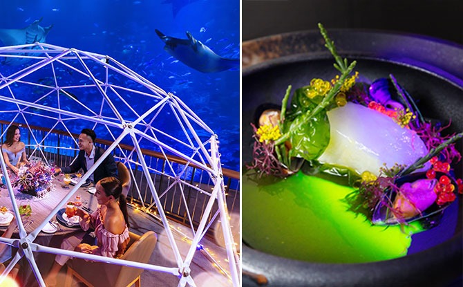 Aqua Gastronomy: Dine In The Company Of 100,000 Aquatic Creatures At S.E.A. Aquarium’s Open Ocean Habitat