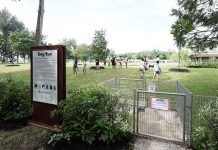 East Coast Park Dog Run, Largest In The East, Opens At Parkland Green And With A Bird Perch Beside It East Coast Park Dog Run, Largest In The East, Opens At Parkland Green And With A Bird Perch Beside It